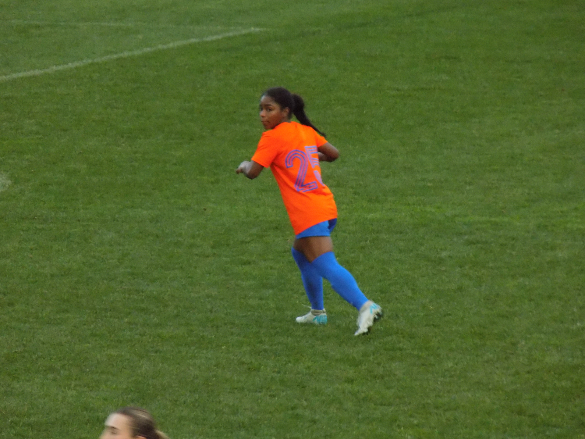 Farina Anchico 21